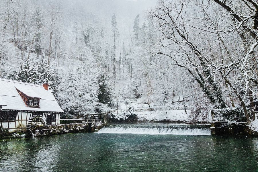 Ausflugtipp Blaubeuren - Mit Hund am Blautopf