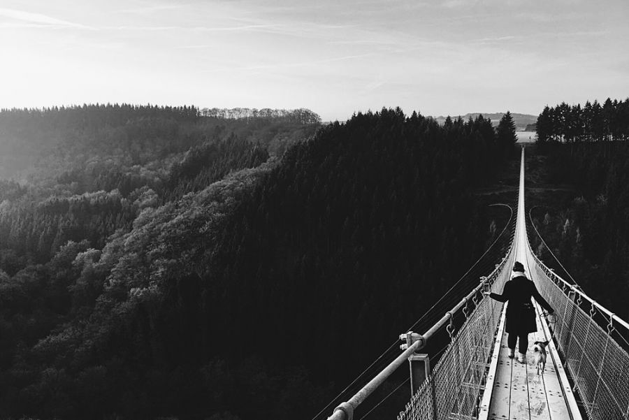 Mit Hund auf der Geierlaybrücke im Hunsrück