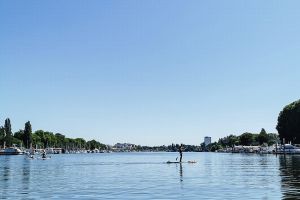 GASSI GEHEN IN WIESBADEN - MIT HUND AM SCHIERSTEINER HAFEN