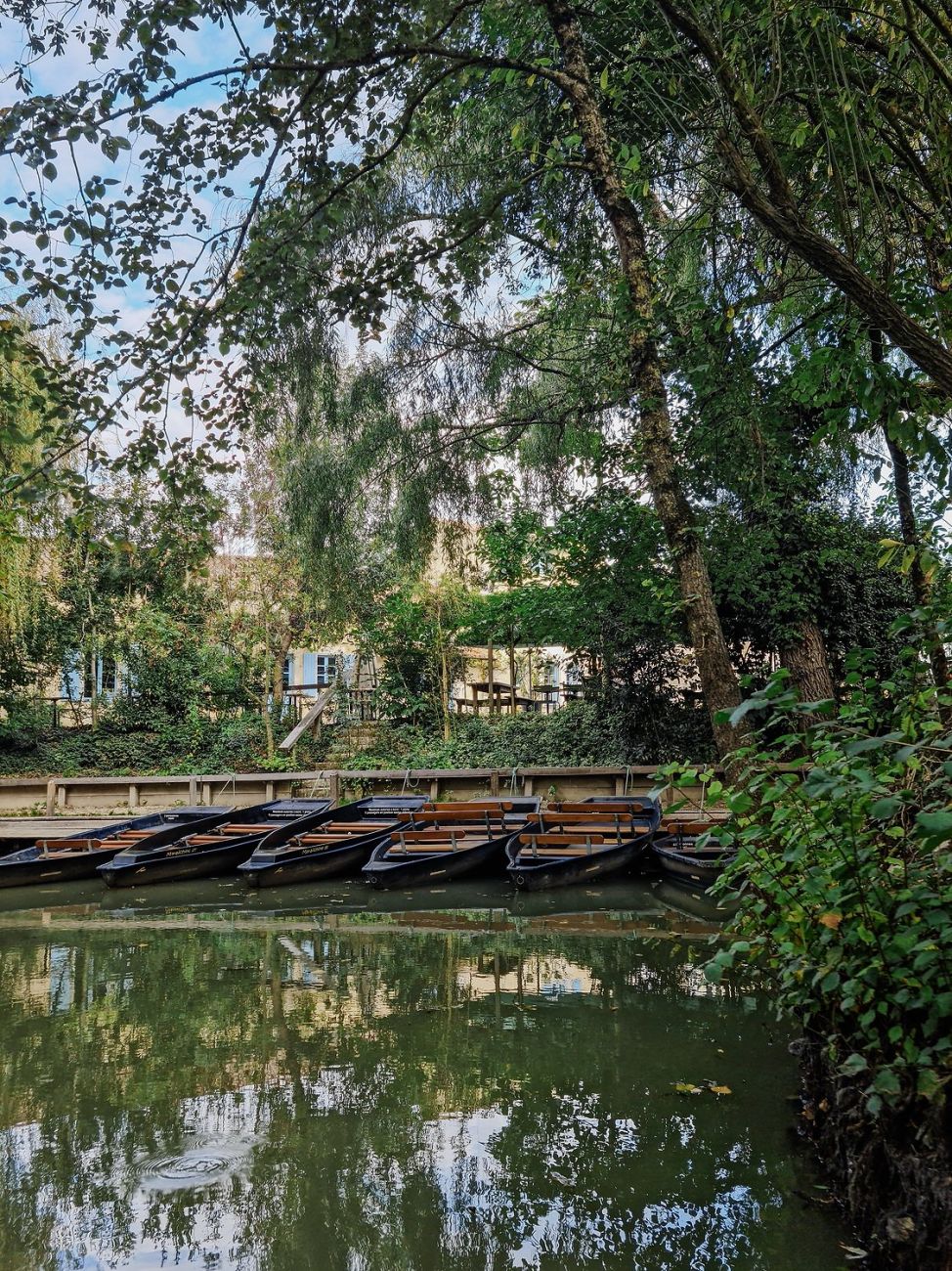 Naturpark Marais Poitevin: Ein perfekter Ausflug mit deinem Hund