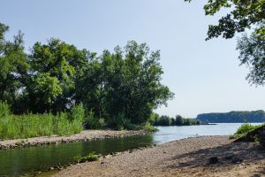 GASSI GEHEN IN GEISENHEIM - MIT HUND AN DER SCHOENBORNSCHEN AUE