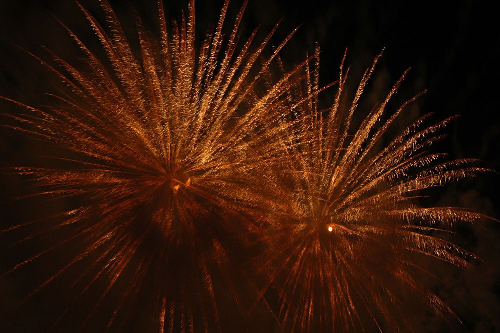 5 Geheimtipps für Gassi an Silvester