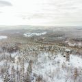 Winterwandern im Taunus - Mit Hund auf dem Hausbergturm