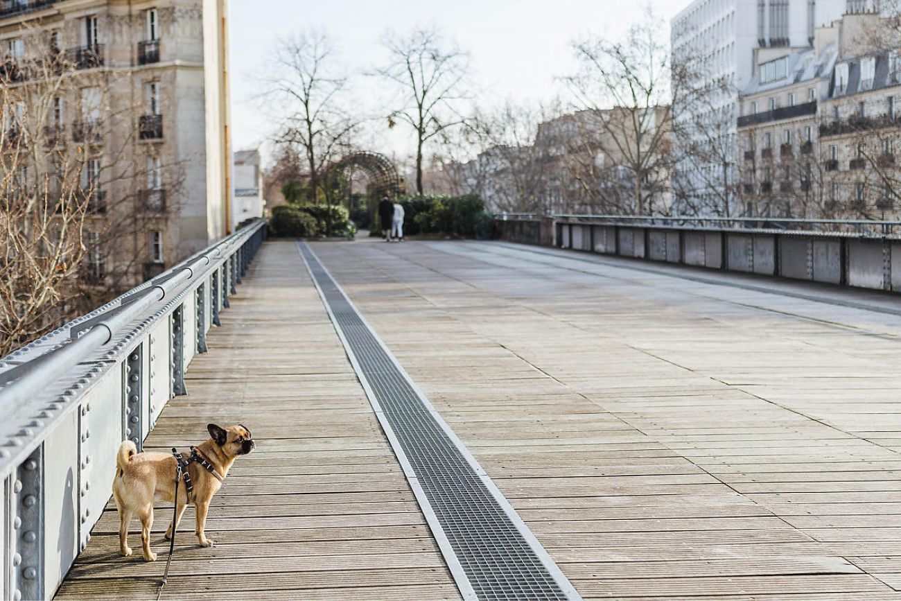 Mit Hund in Paris - Ausflugsziel Highline