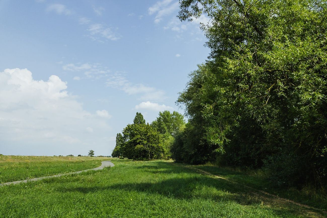 Ausflugsziel mit Hund - Hundestrand Flörsheim