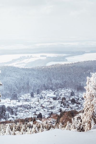 Winterwandern im Taunus - Mit Hund auf dem großen Feldberg