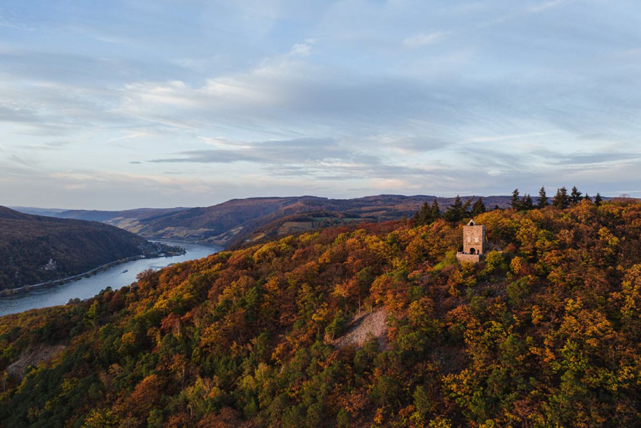 Ausflugsziel mit Hund: Burgruine Rossel im Rheingau