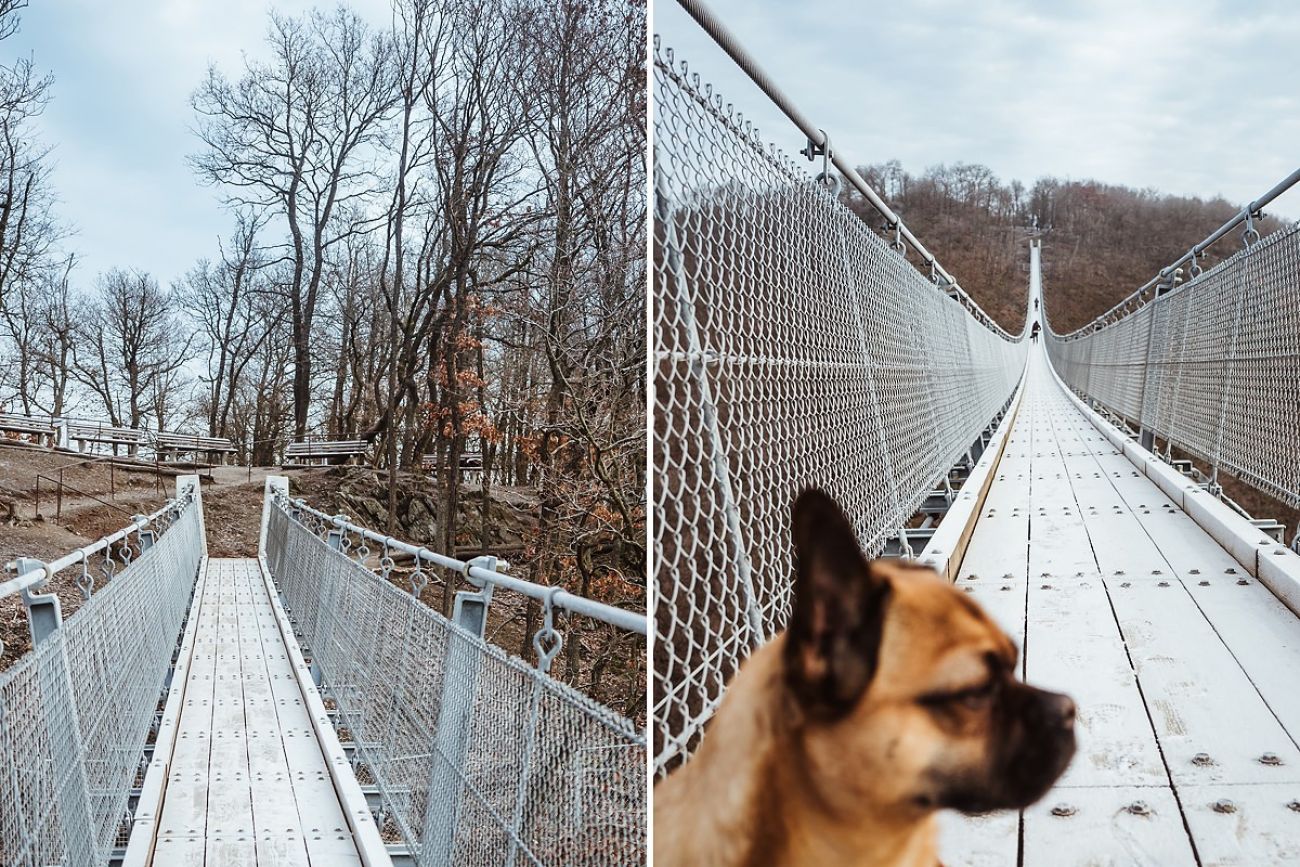 Mit Hund auf der Geierlaybrücke im Hunsrück