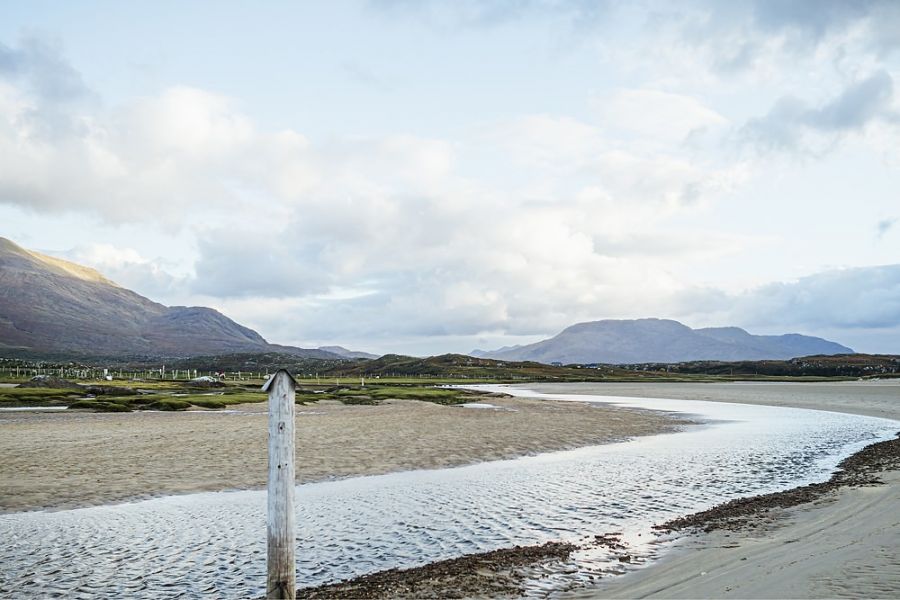 White Strand mit Hund in Mayo Irland