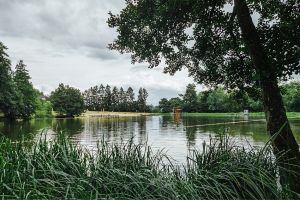 GASSI GEHEN IN USINGEN - MIT HUND AM HATTSTEINWEIHER