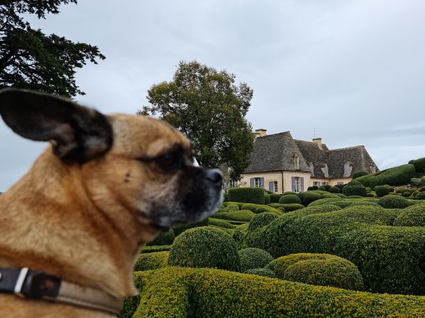 Mit Hund im Les Jardin de Marqueyssac