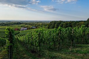 GASSI GEHEN IN DURCHBACH EBERSWEIER - MIT HUND AN DER KAPELLE