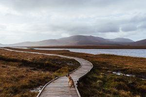 Angenehme Wege im Ballycroy Nationalpark