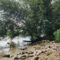 Ausflugsziel mit Hund - Hundestrand Flörsheim