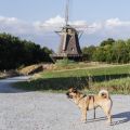 Mit Hund im Taunus - Ausflug in den Hessenpark