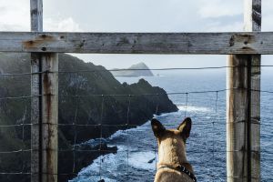 Eine gute Alternative: Die Kerry Cliffs in Irland