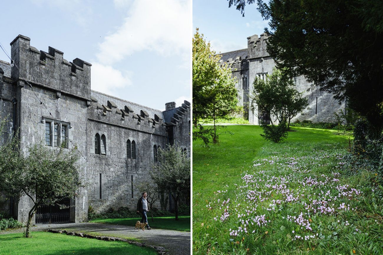 Birr Castle mit Hund, Offaly Irland