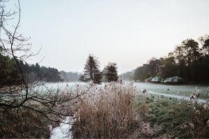 MIT HUND AM GUNDWIESENSEE - GASSI GEHEN IN WALLDORF