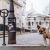 Mit Hund in Paris -  Sacre Coeur