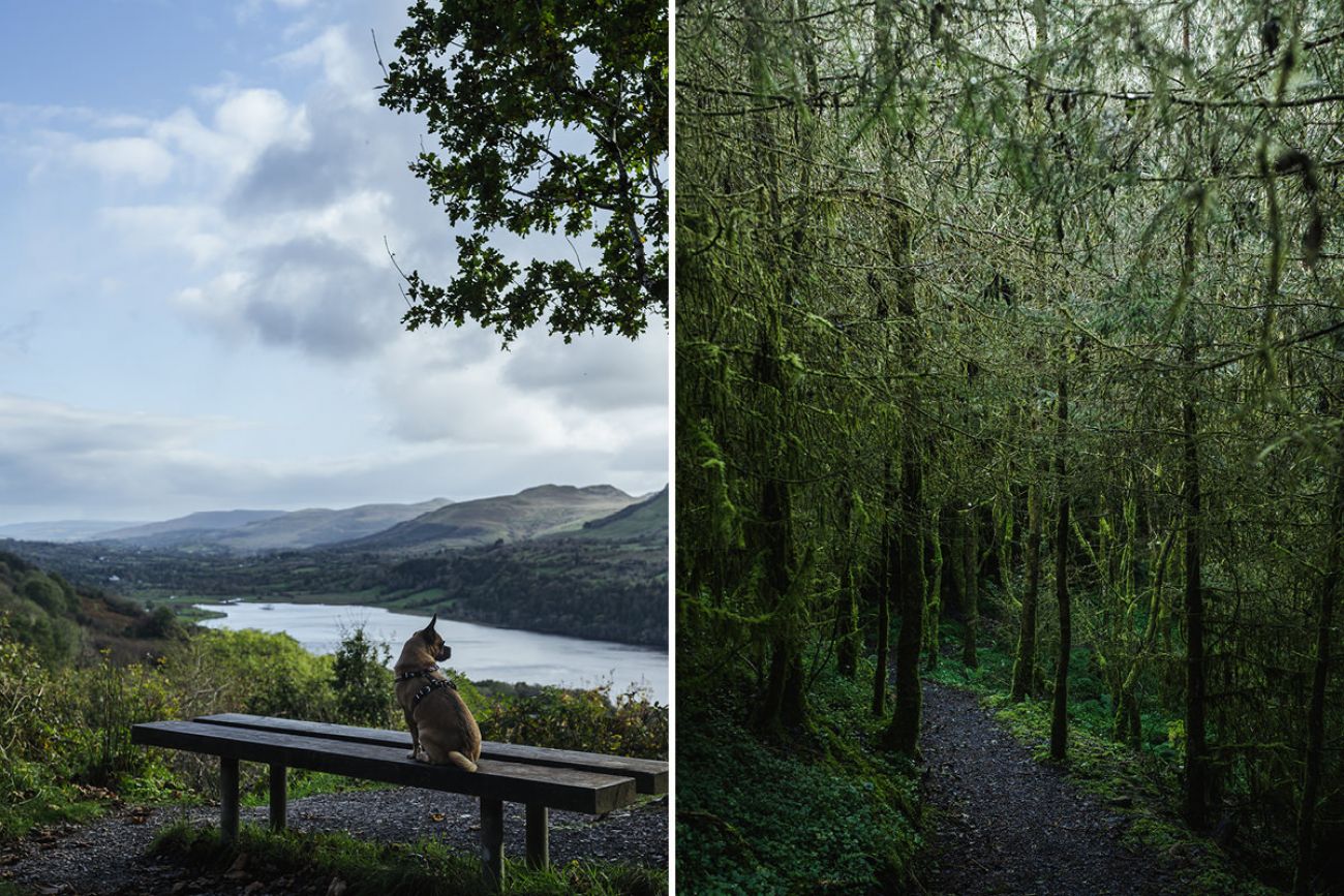 Mit Hund am Devils Chimney in Sligo, Irland
