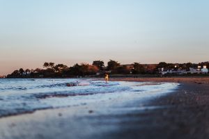 Hundestrand Burrow Beach in Howth bei Dublin