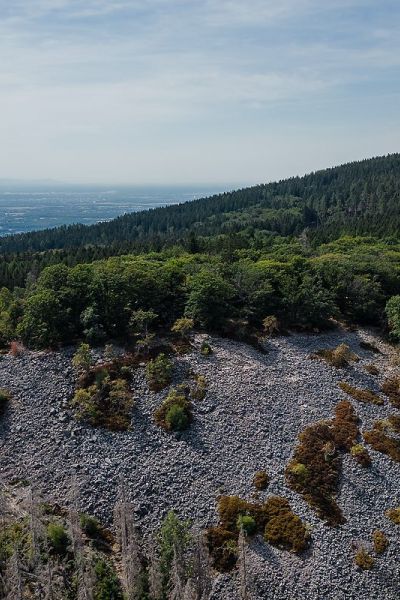Ausflug mit Hund - Wanderung weiße Mauer, Taunus