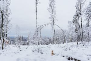 GASSI GEHEN IN SCHMITTEN - MIT HUND AM SAUBACH