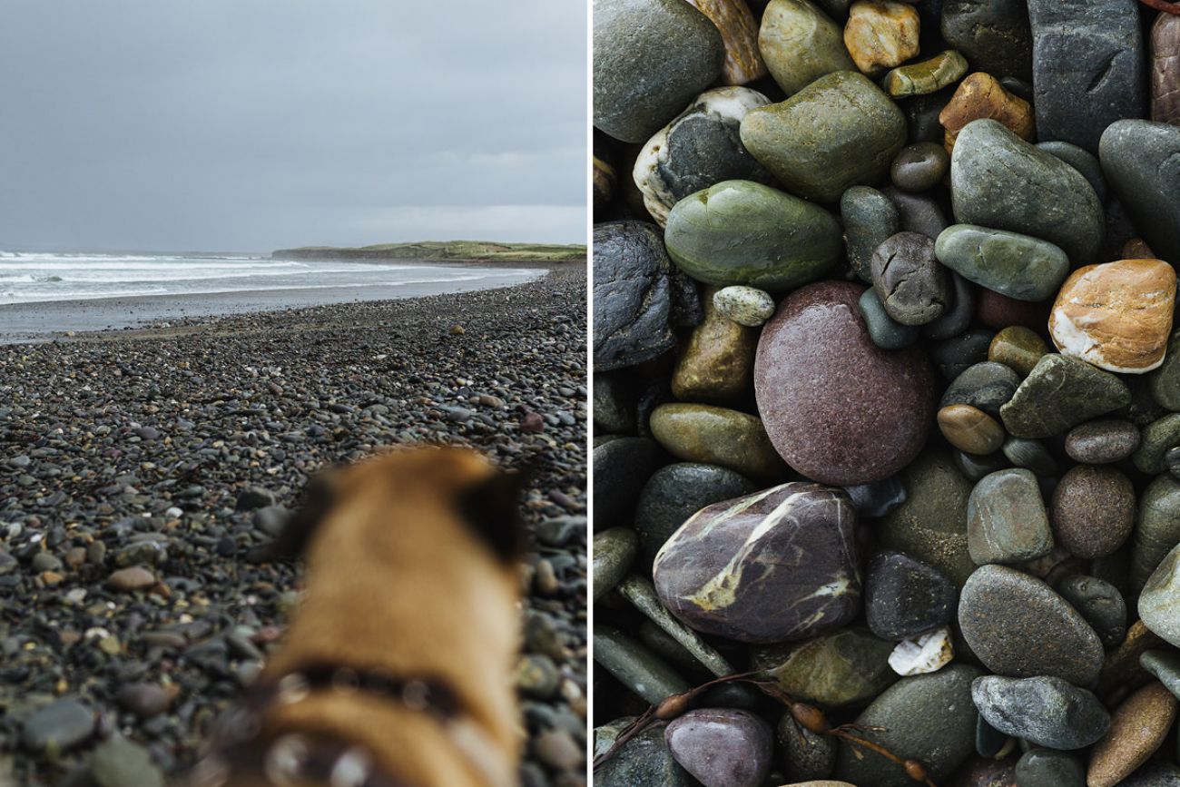 Mit dem Hund am Steinstrand in Irland - Carrowinskey Beach in Mayo