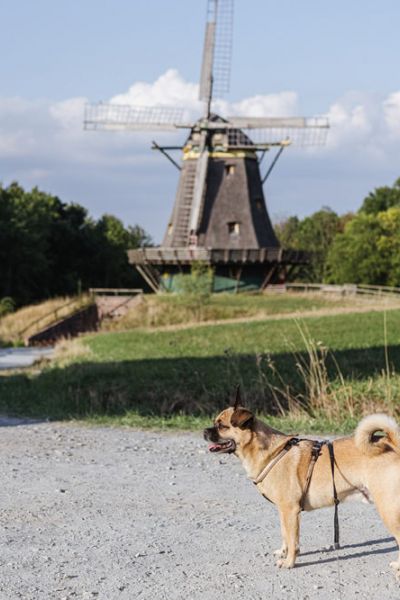 Mit Hund im Taunus - Ausflug in den Hessenpark