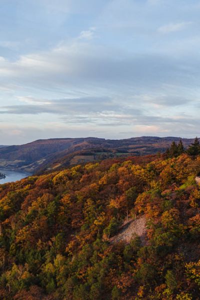 Mikroabenteuer im Rheingau - Mit Hund an der Burgruine Rossel