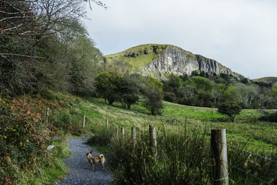 Mit Hund am Devils Chimney in Sligo, Irland
