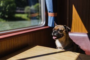 Eine Gemütliche Bootstour auf dem Rhein