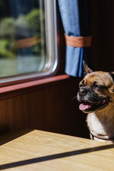 Eine Gemütliche Bootstour auf dem Rhein