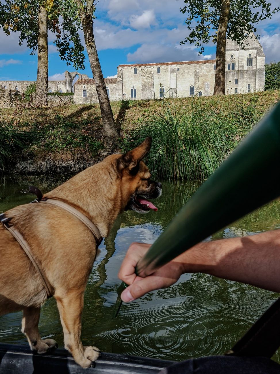 Naturpark Marais Poitevin: Ein perfekter Ausflug mit deinem Hund