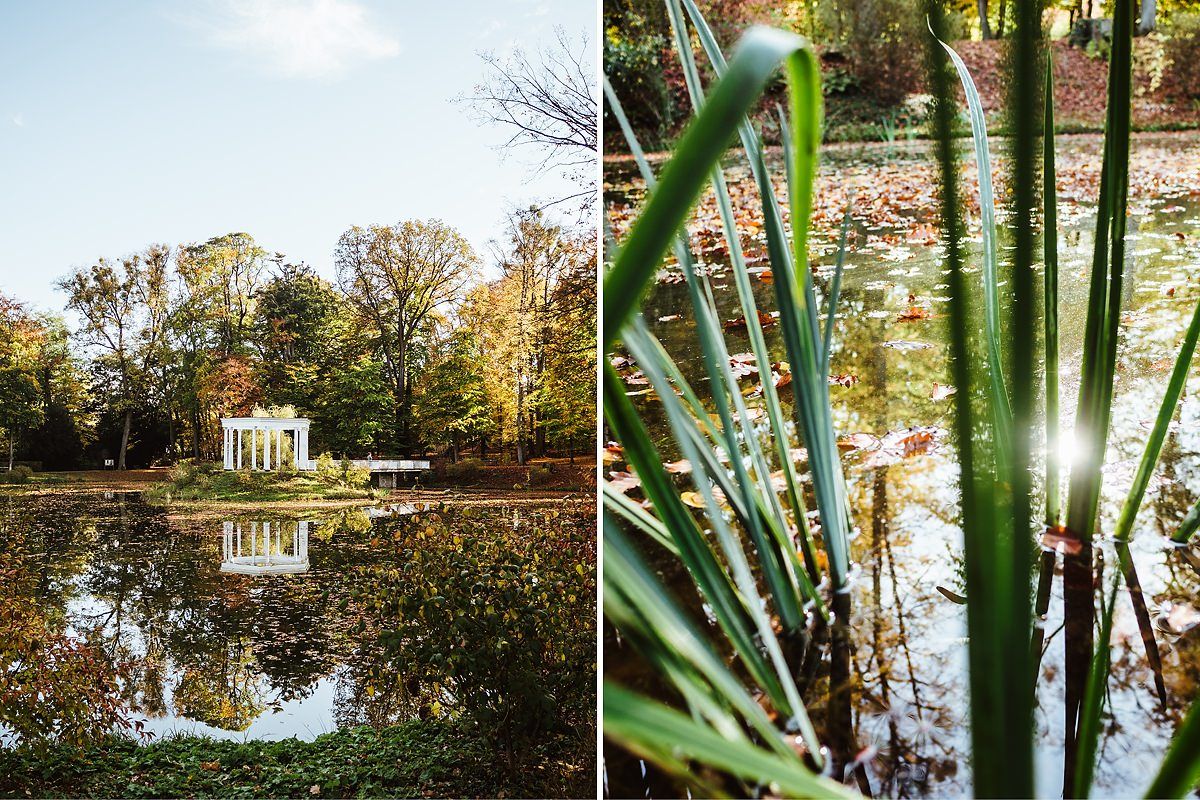 MIT HUND IM GUSTAVSGARTEN - GASSI GEHEN IN BAD HOMBURG