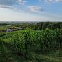 GASSI GEHEN IN DURCHBACH EBERSWEIER - MIT HUND AN DER KAPELLE