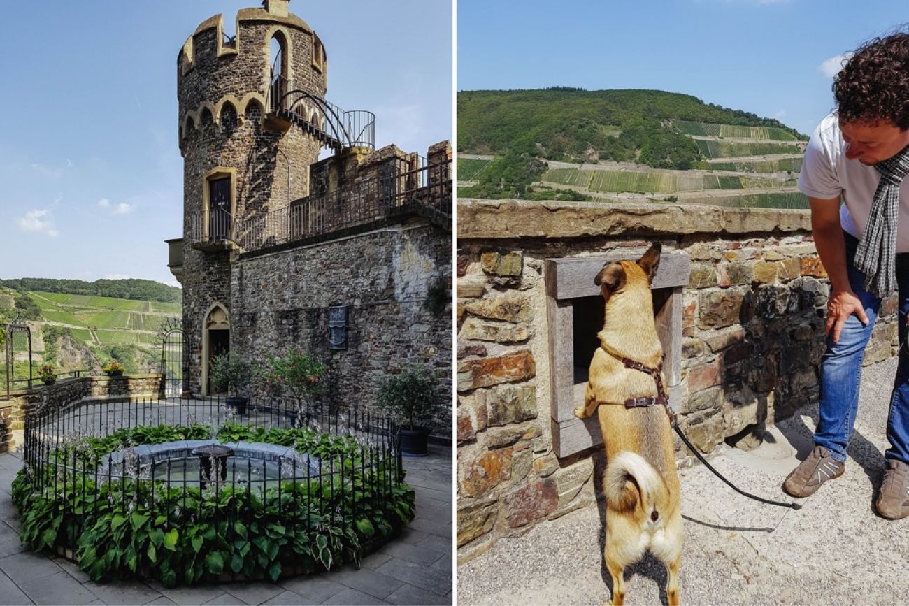 Mit dem Hund am Rhein - Burg Rheinstein