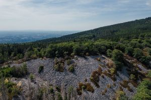 Ausflug mit Hund - Wanderung weiße Mauer, Taunus