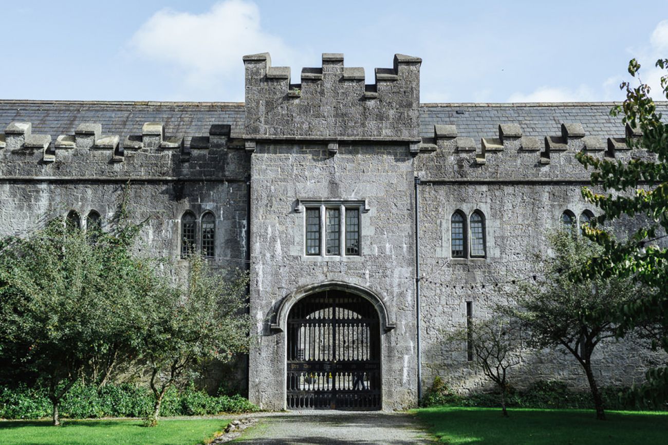 Birr Castle mit Hund, Offaly Irland