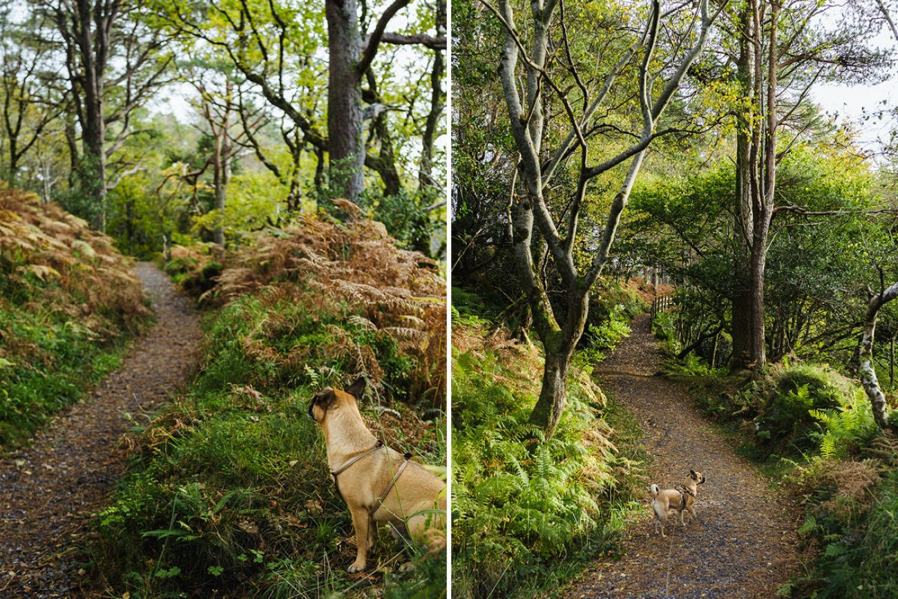 Rundweg am Gleniff Horseshoe - Mit Hund in Sligo, Irland