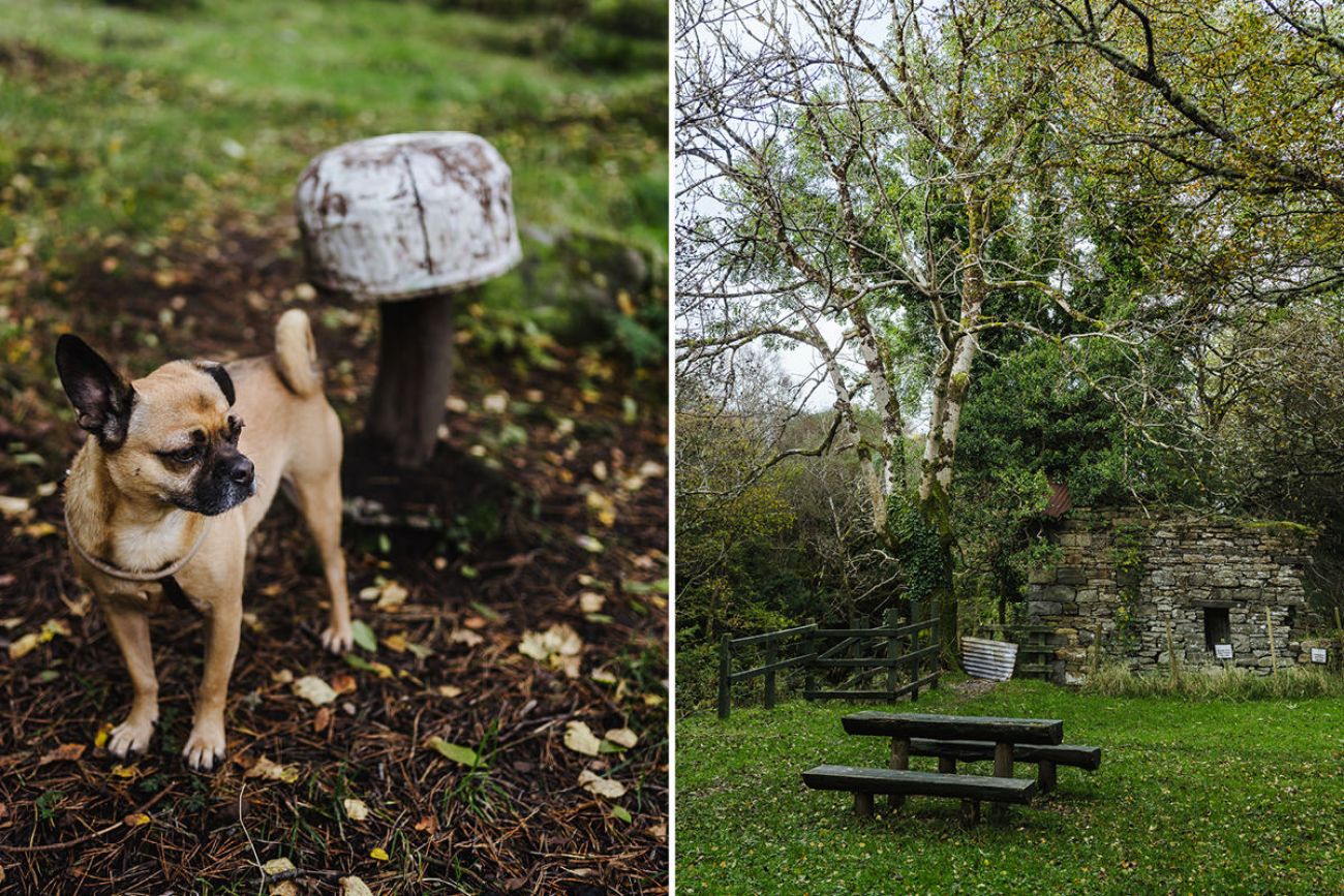 Rundweg am Gleniff Horseshoe - Mit Hund in Sligo, Irland