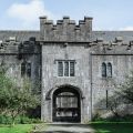 Mit Hund am Birr Castle & Gardens