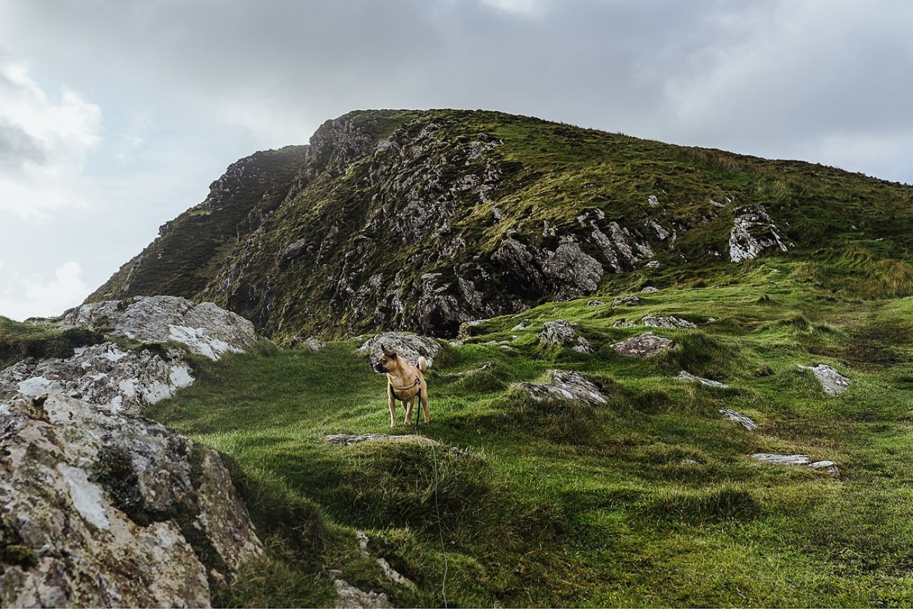 Mit Hund am Keem Bay Achill Island