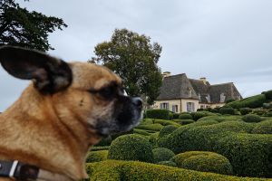 Mit Hund im Les Jardin de Marqueyssac