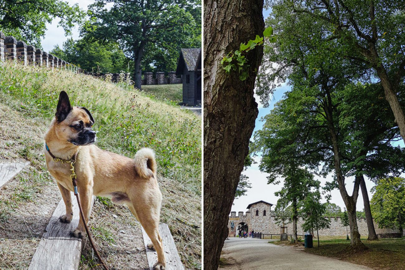 Saalburg mit Hund - Ausflüge in Hessen