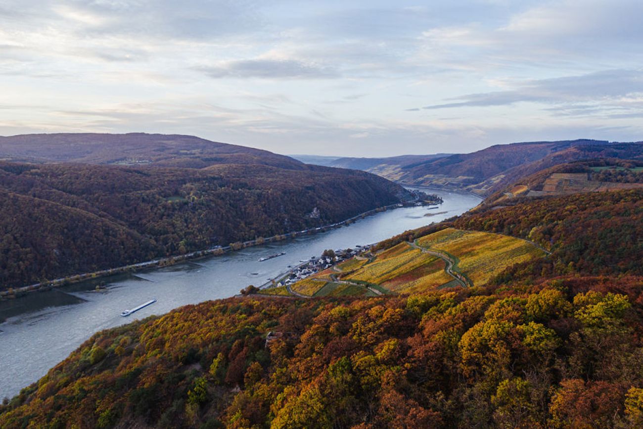 Ausflugsziel mit Hund: Burgruine Rossel im Rheingau