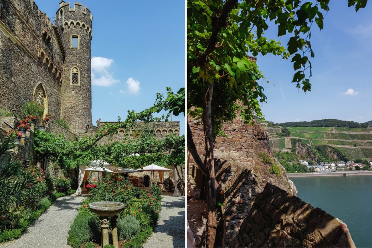 Mit dem Hund am Rhein - Burg Rheinstein