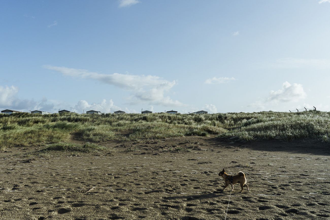 Mit Hund am Enniscrone Beach, Sligo Irland