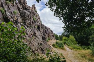 Gassi gehen in Usingen - Mit Hund an den Eschbacher Klippen