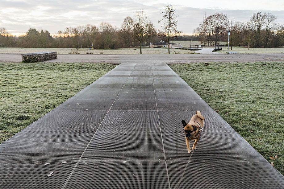 GASSI GEHEN IN FRANKFURT - MIT HUND AM FLUGPLATZ BONAMES